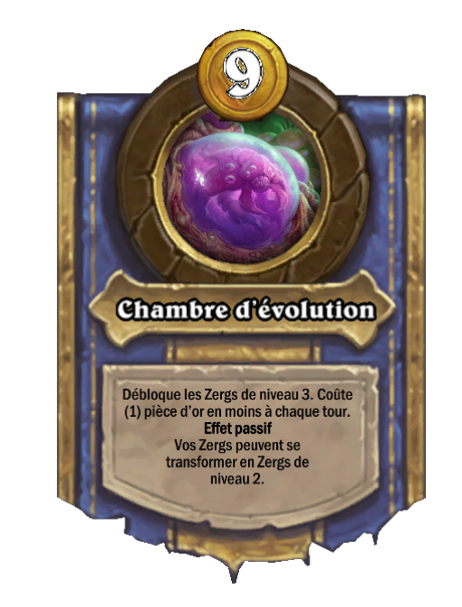 Chambre d’évolution