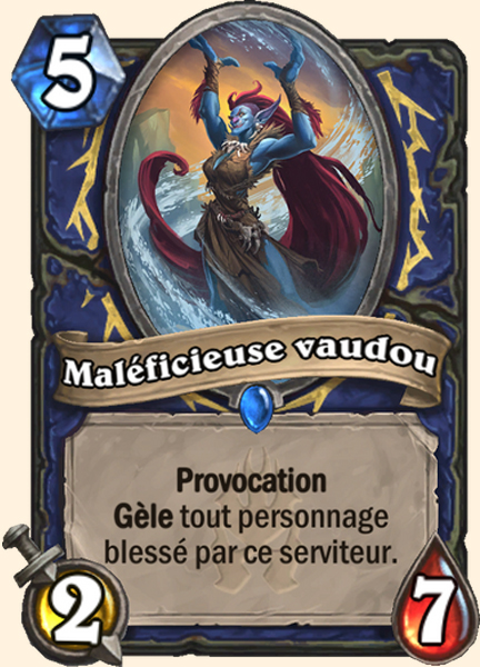 Maleficieur vaudou carte Hearhstone