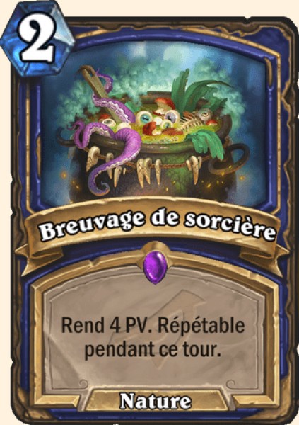 Breuvage de sorciere carte Hearhstone