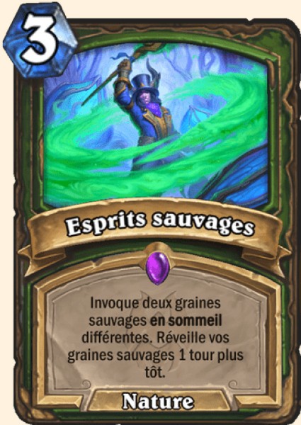 Esprits sauvages carte Hearhstone