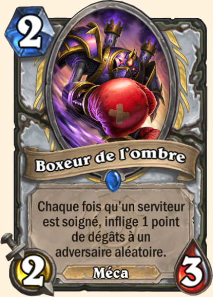 boxeur de l’ombre