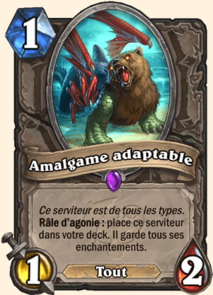 Amalgame adaptable carte Hearhstone