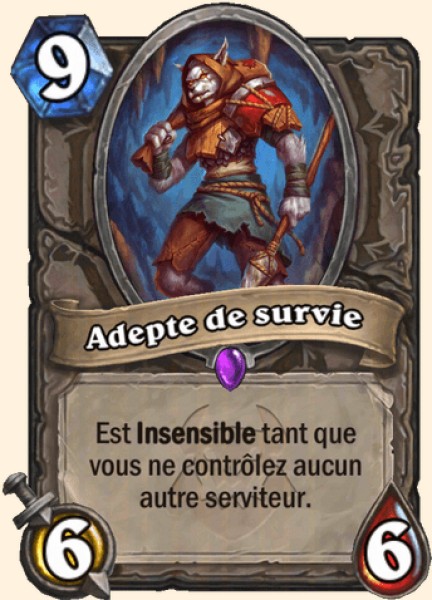 Adepte de survie carte Hearhstone