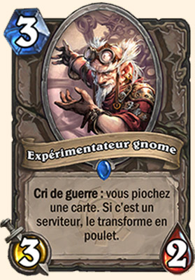 Expérimentateur Gnome carte Hearthstone