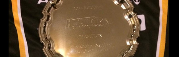 Envie de voir le trophée Hearthstone Dreamhack 2014 d'un peu plus près ?