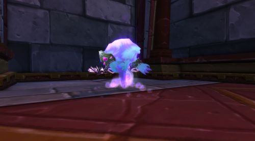 Image de Karazhan : la Ménagerie