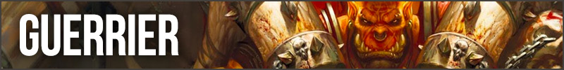 Cartes Guerrier Rotation standard 2018