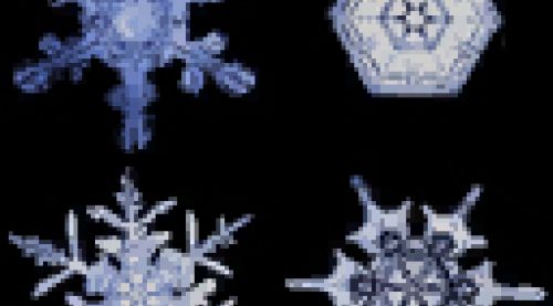 Image de Fête Givre