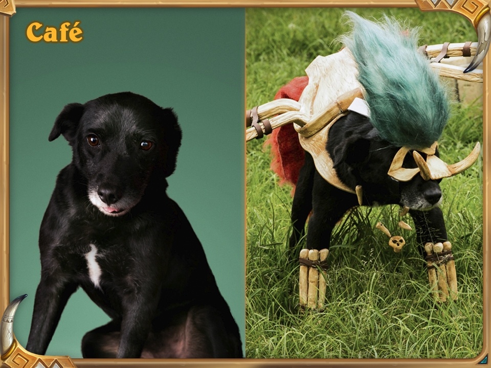 Loa Bwonsamdi, la mort