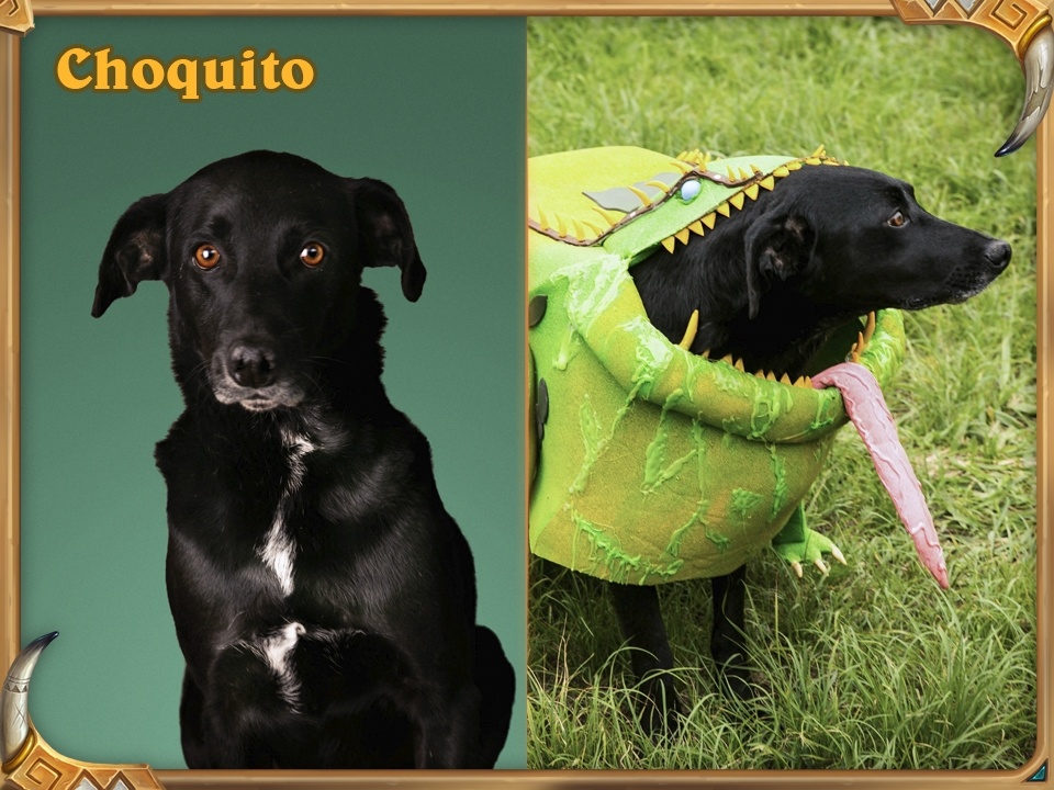 Loa Krag'wa, la grenouille