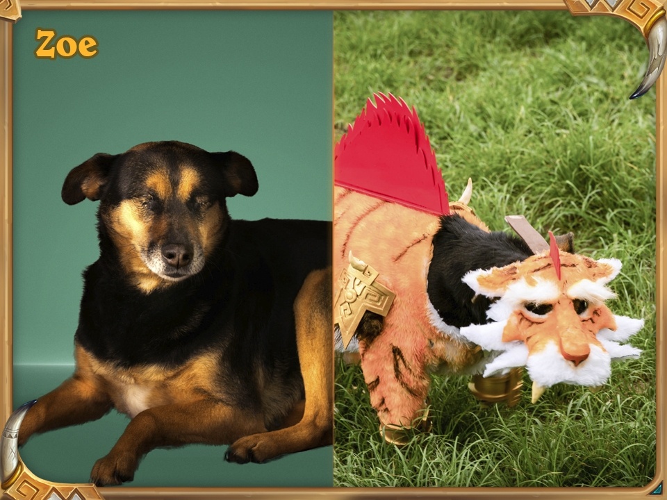 Shirvallah, la tigresse