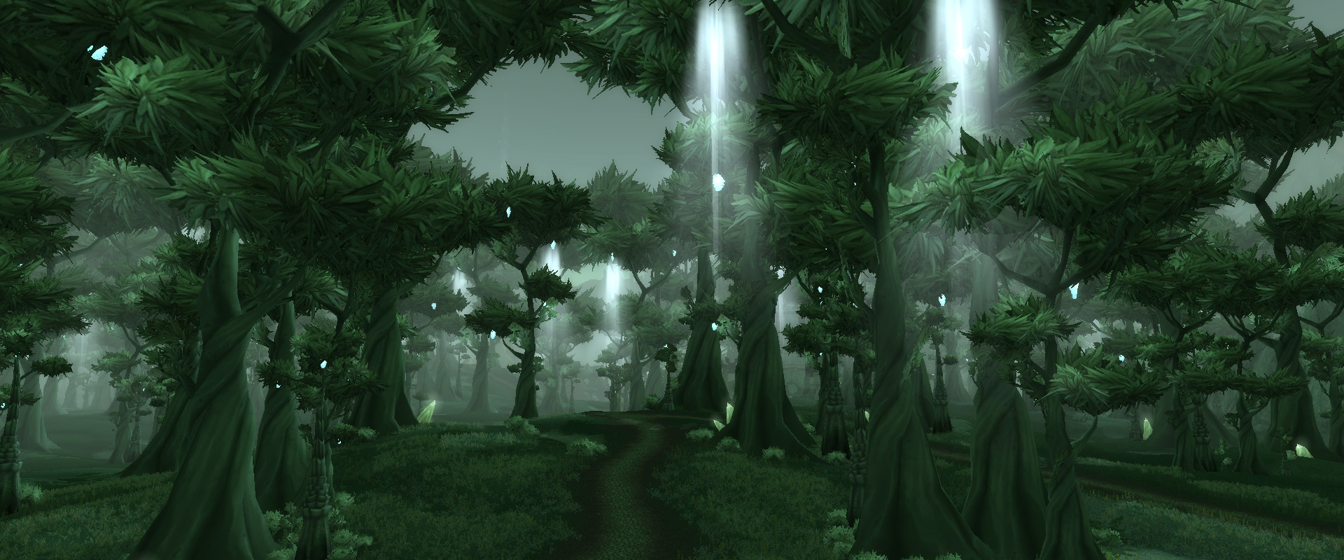 La forêt de Terokkar