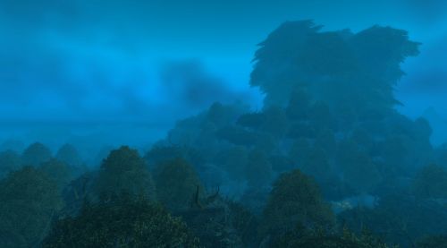 Image de Bois de la Pénombre WoW