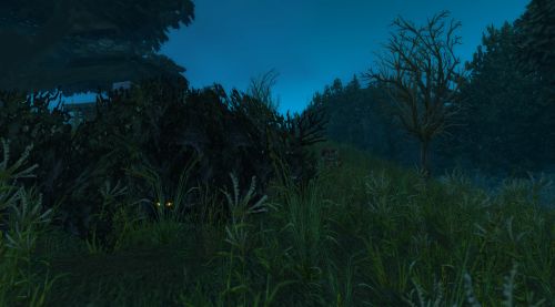 Image de Bois de la Pénombre WoW