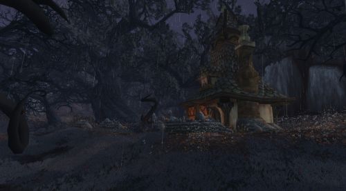 Image de Screens Forêt Noire WoW