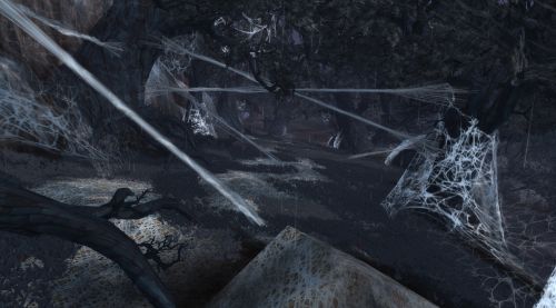 Image de Screens Forêt Noire WoW