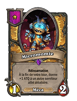 Carte Champs de bataille Hearthstone - Micromomie