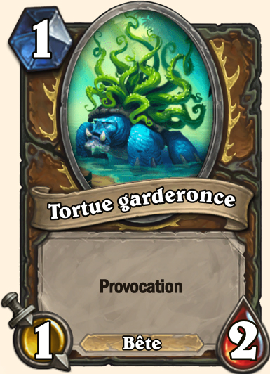 Tortue garderonce Tarides