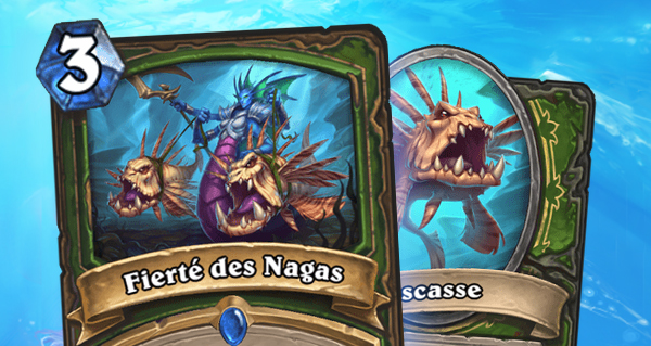 fierte des nagas